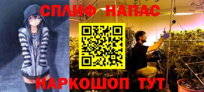 скорость Новоалександровск