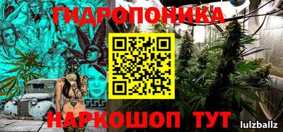 стафф Новоалтайск